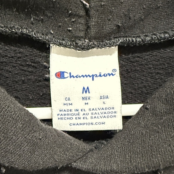 Champion Washington Huskies Embroidered Logo  Size Medium Hoodie Black Purple - Picture 2 of 5